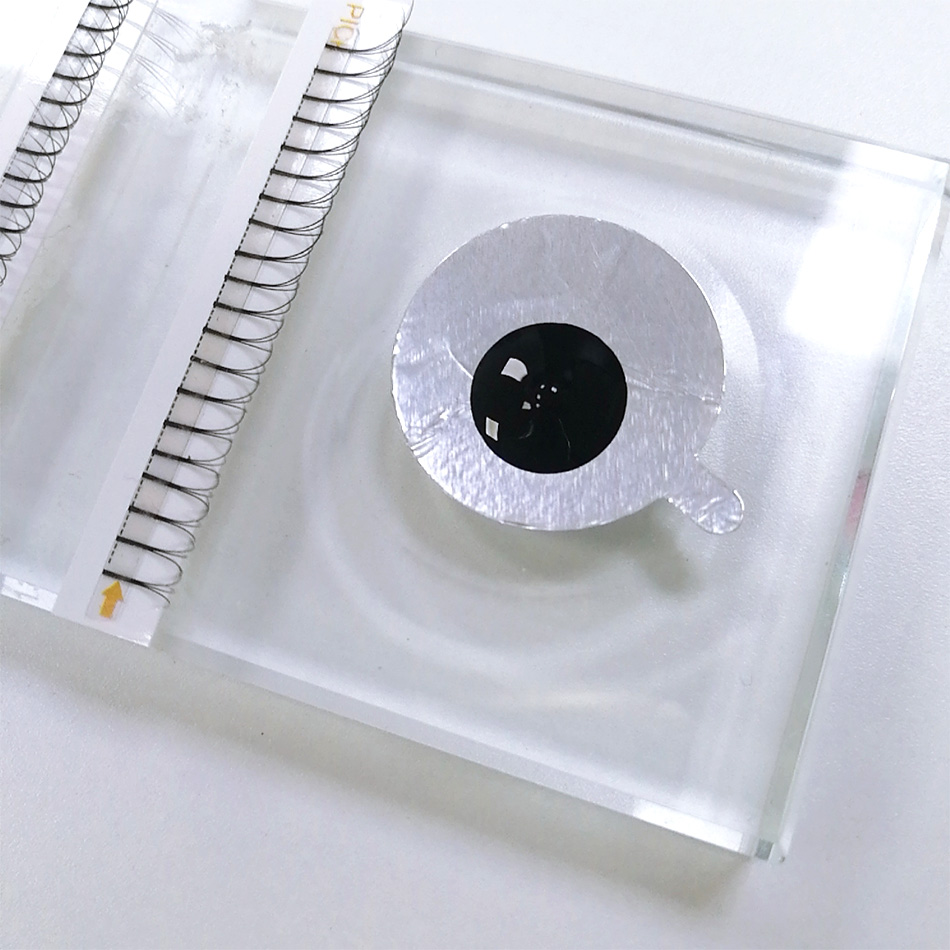 300Pcs/pack Disposable Waterpr - огляд і ціна Lash Mapping Sticker