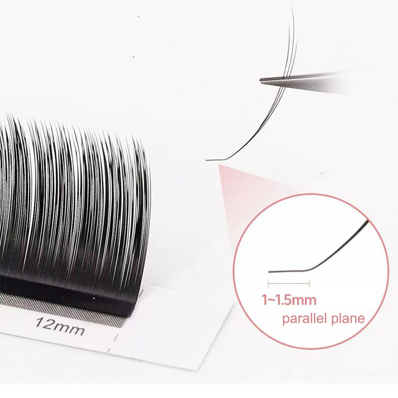 dream ballet Camellia Lashes w - огляд і ціна Eyelash Extension Human Hair