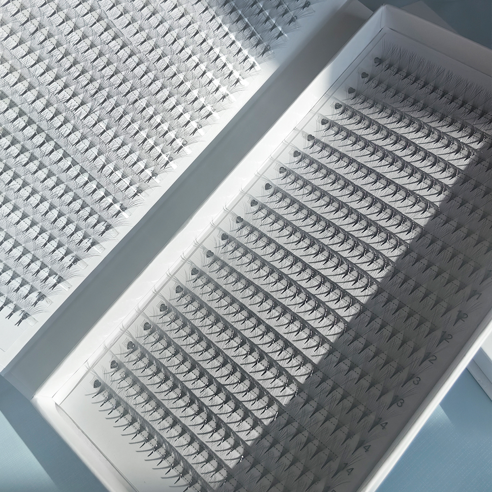 2D-16D 1600/880 Fans PBT Hybri - огляд і ціна Eyelash Extension Hybrid